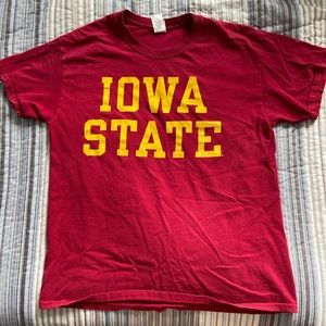 Vintage Iowa state cotton t shirt